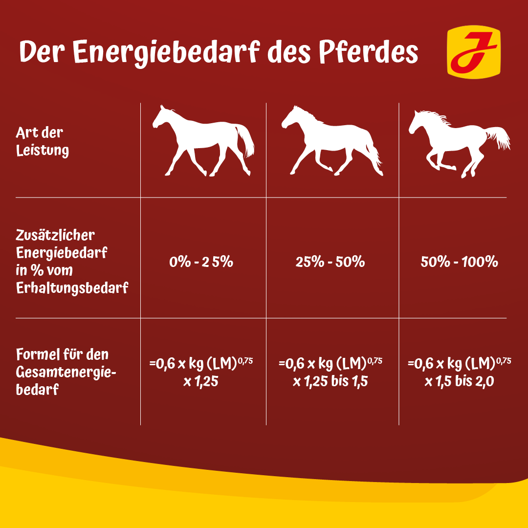 Pferd In Zahlung Geben